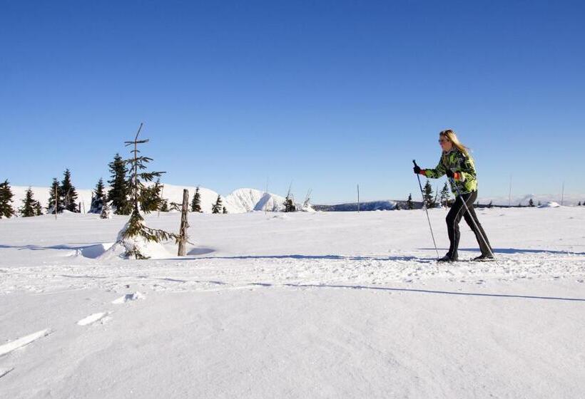 Пансион Penzion V Kolonce