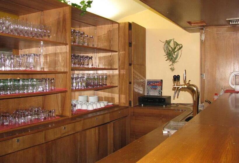 بنسيون Penzion Zoja