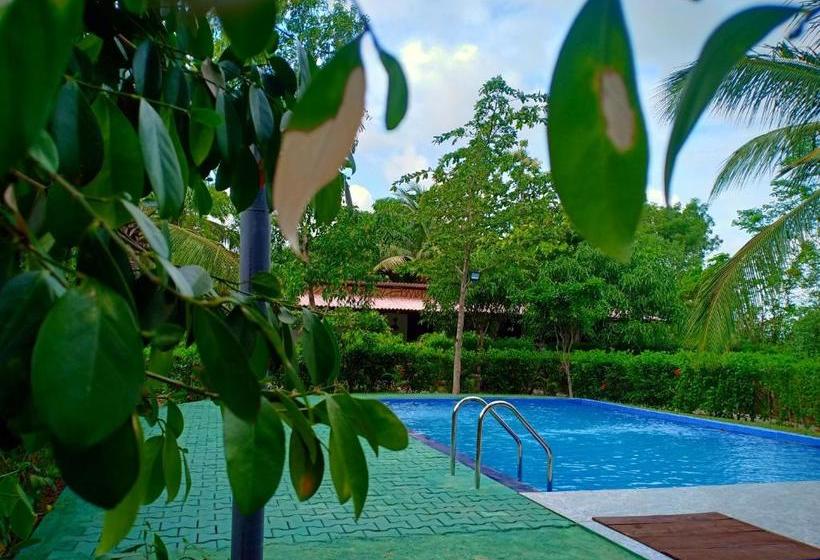 פנסיון Sigiri Charuka Resort