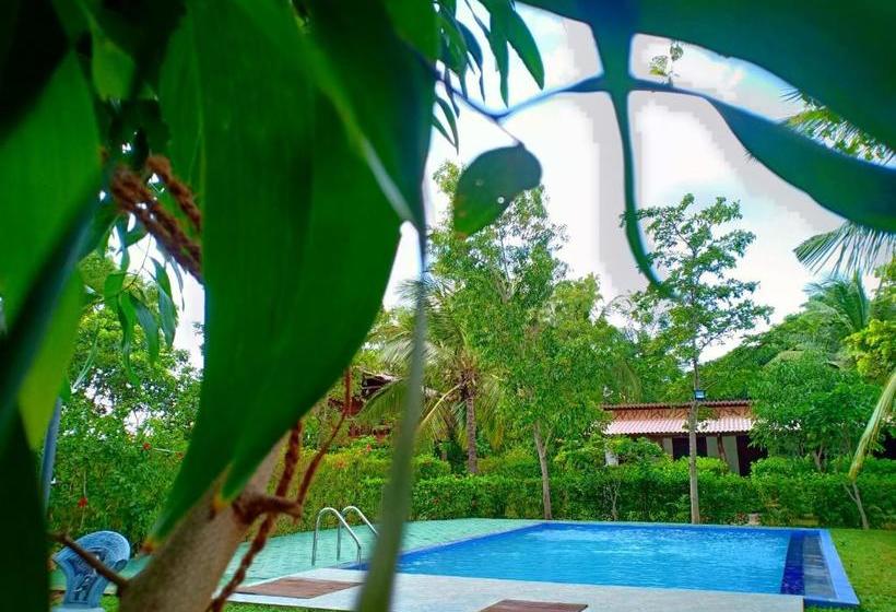 Пансион Sigiri Charuka Resort