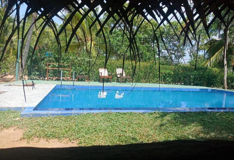 Пансион Sigiri Charuka Resort