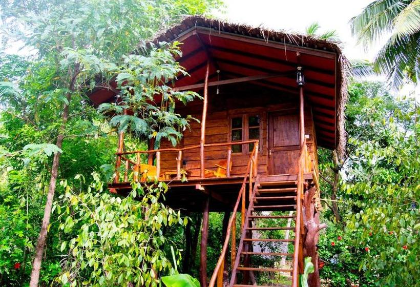 פנסיון Sigiri Charuka Resort