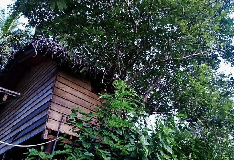 פנסיון Sigiri Charuka Resort