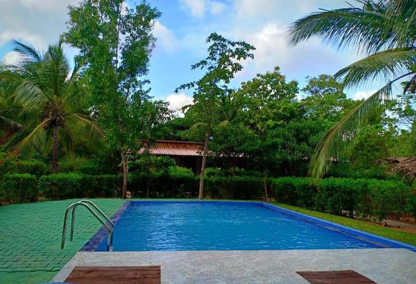 פנסיון Sigiri Charuka Resort