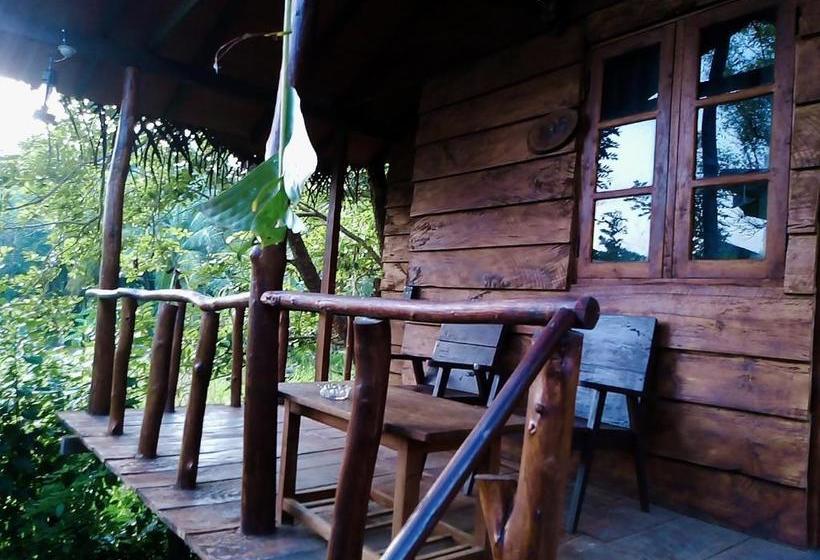 פנסיון Sigiri Charuka Resort