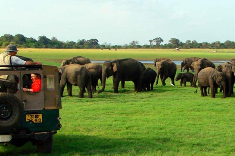 膳宿费 Sigiri Mount Villa & Restaurant