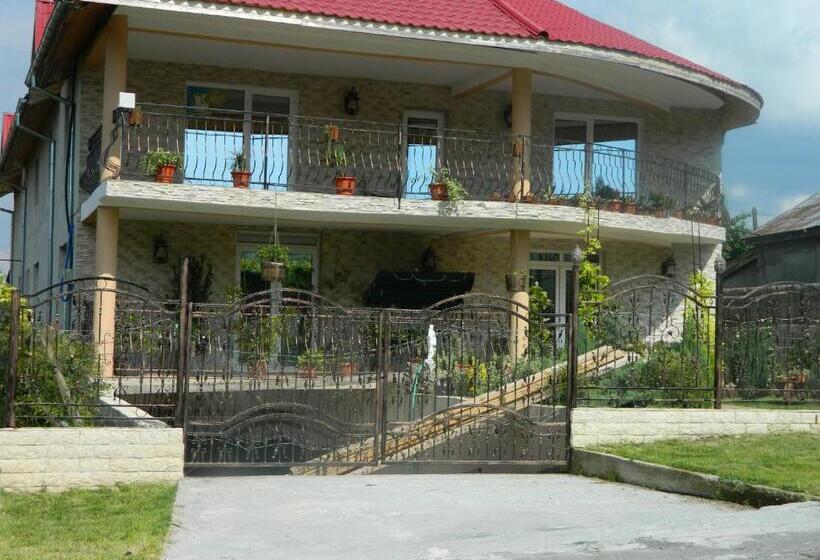 Pensiunea Casa Cornelia Mahmudia