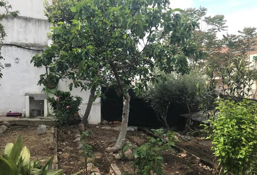 Albergue Las Veletas