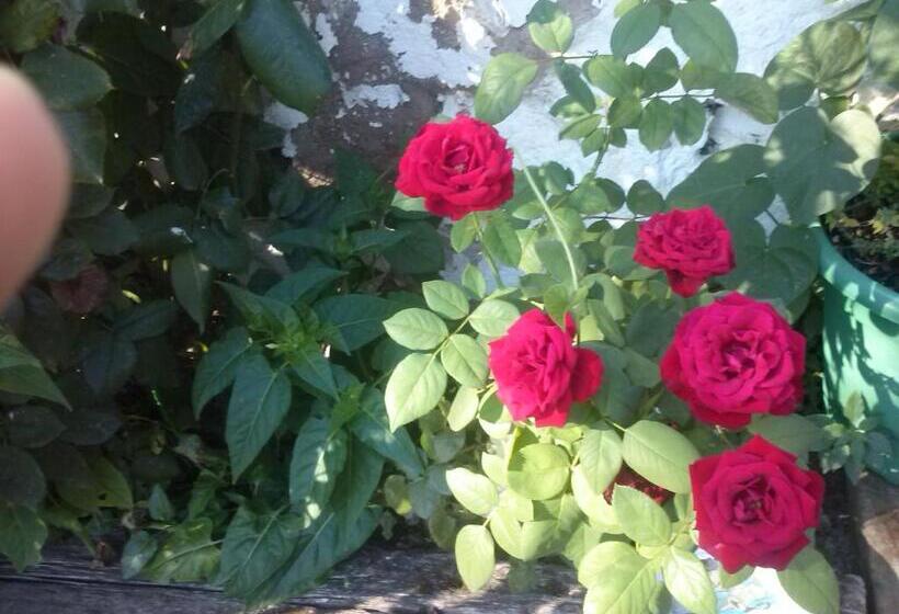 Albergue Las Veletas