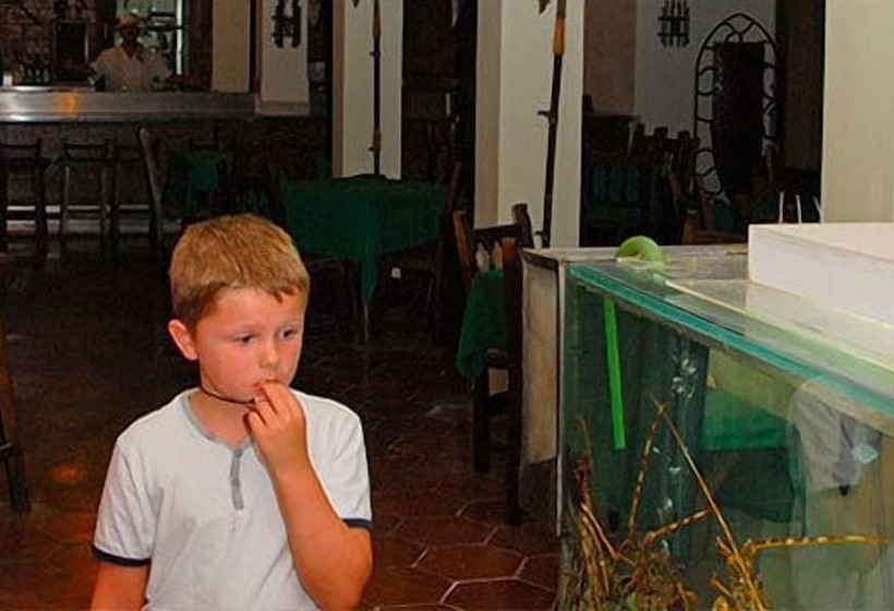 Apartamentos Del Rey