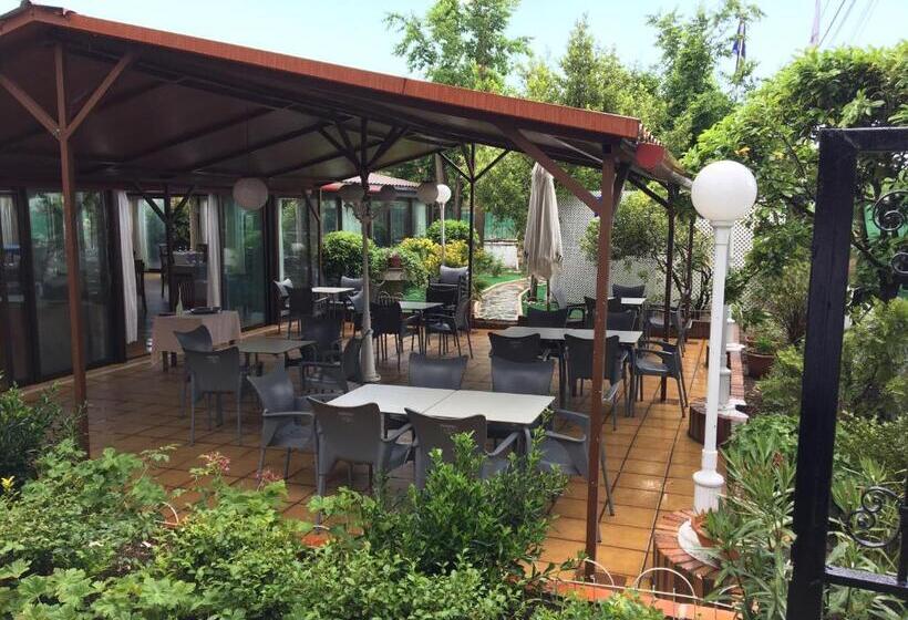 Gran Hostal Asador De Soto