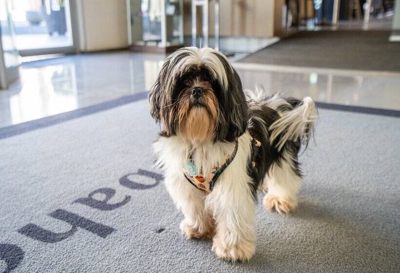 فندق Abba Huesca