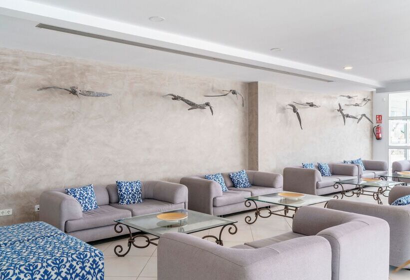 ホテル Alua Gran Camp de Mar