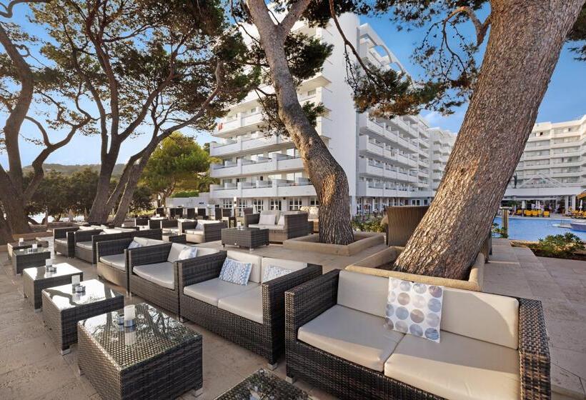 ホテル Alua Gran Camp de Mar