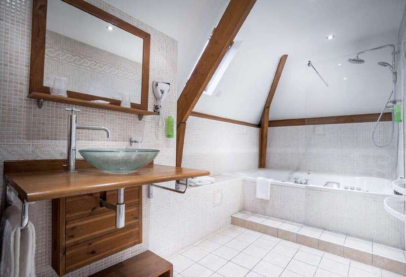 Отель Best Western Ile De France Hôtel & Spa