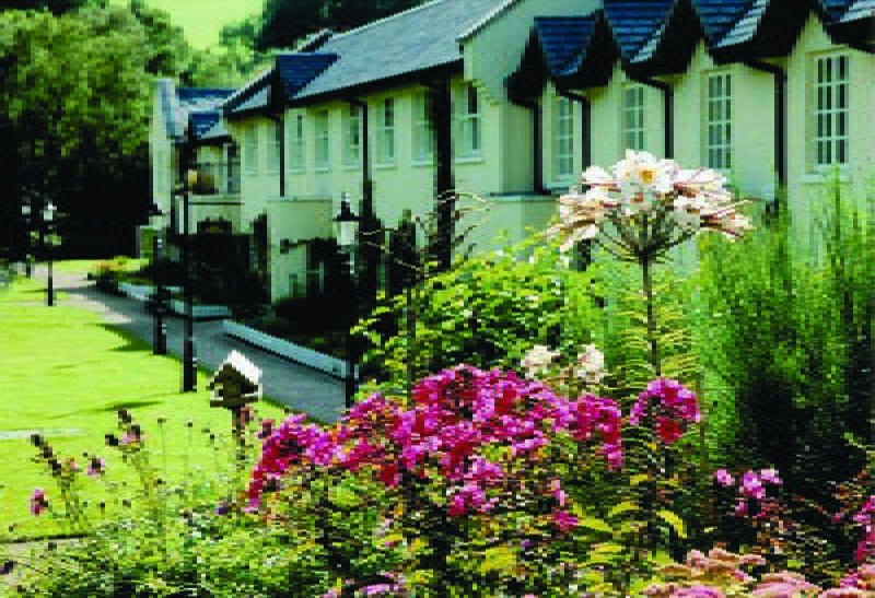 בית מלון כפרי Brooklodge & Macreddin Village