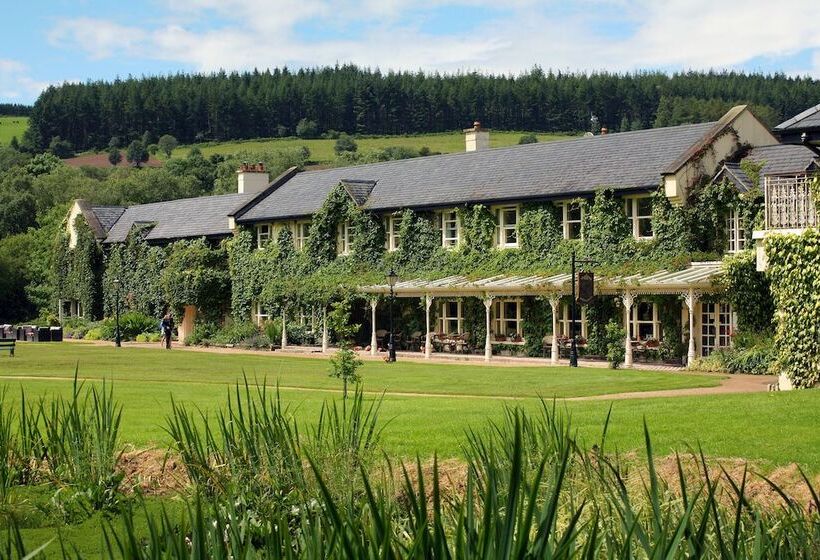 בית מלון כפרי Brooklodge & Macreddin Village