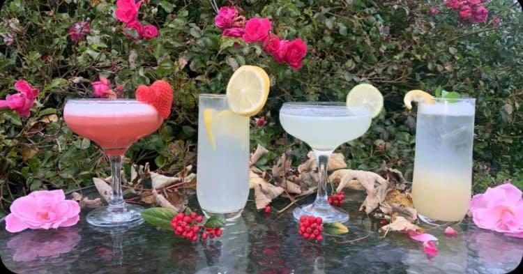 Отель Darnley Lodge