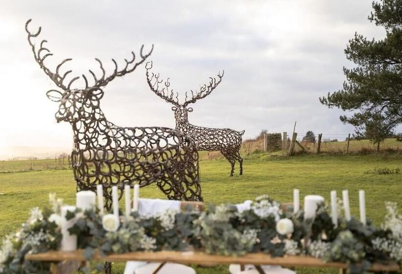 Отель Derwent Manor Boutique