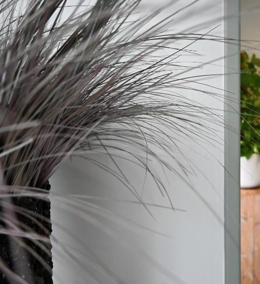 酒店 Doña Catalina