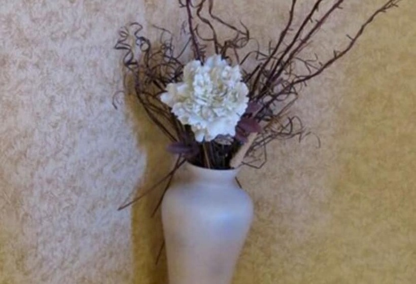 هتل Donnybrook Hall