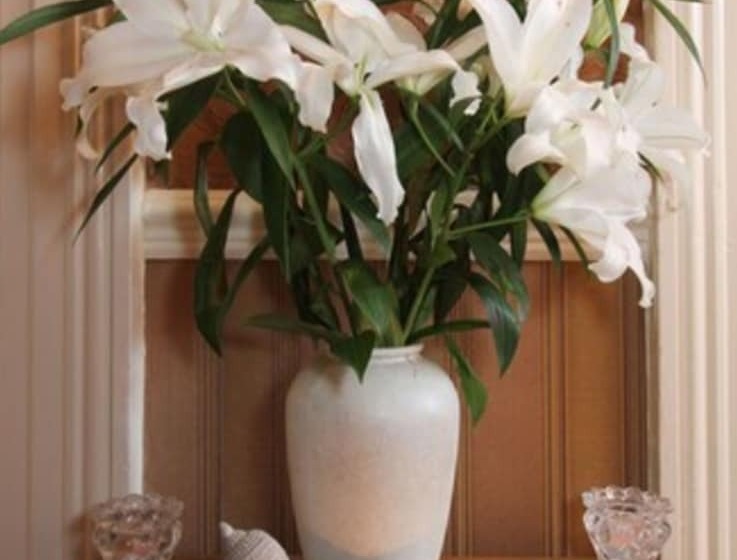 هتل Donnybrook Hall