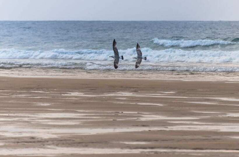 בית מלון כפרי El Babú