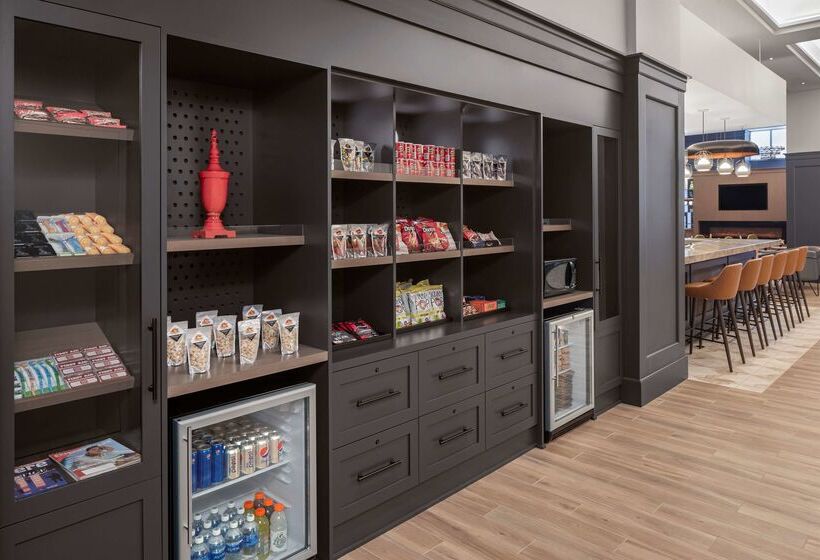 酒店 Hyatt Centric Downtown Minneapolis