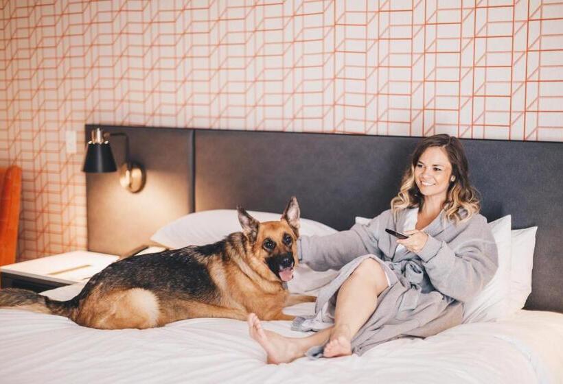 酒店 Hyatt Centric Downtown Minneapolis