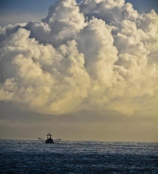 فندق King Sitric