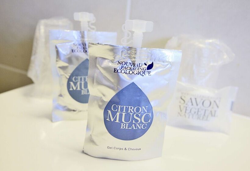 בית מלון כפרי Kyriad Bellegarde  Genève