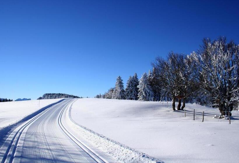 호텔 Logis Le Vernay