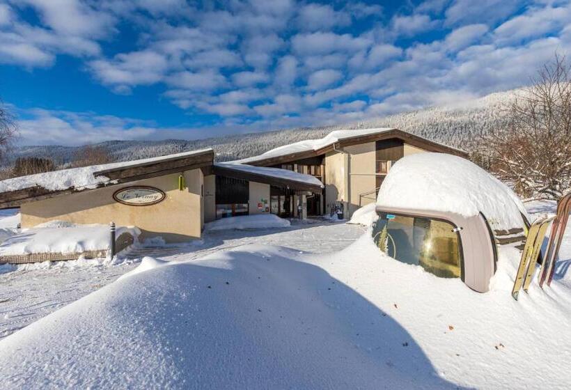 호텔 Logis Le Vernay