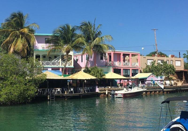 酒店 Mamacitas Guest House