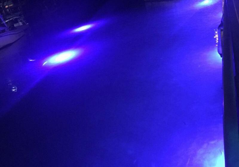 酒店 Mamacitas Guest House