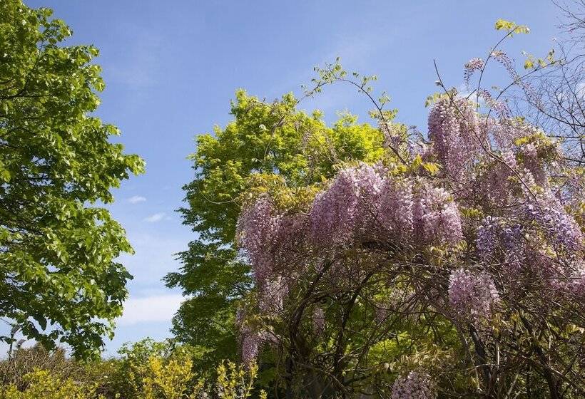 فندق ريفى Casona De La Paca