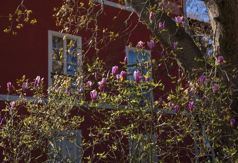 هتل روستایی Casona De La Paca