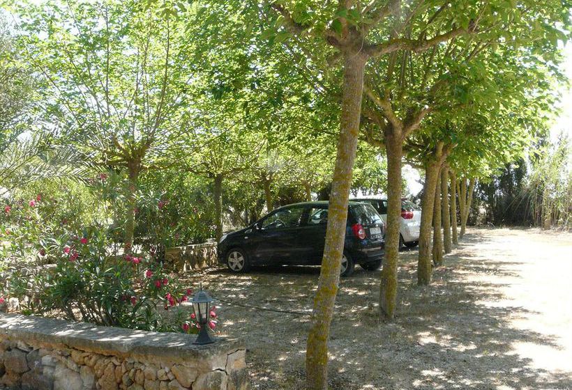 Сельский отель Finca Es Palmer