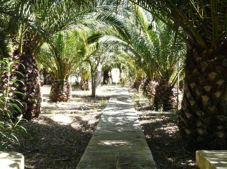 Сельский отель Finca Es Palmer