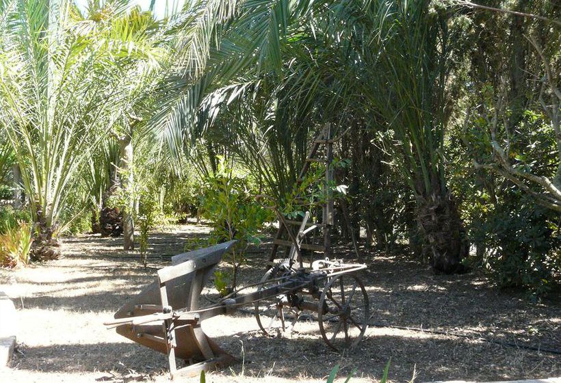 Сельский отель Finca Es Palmer