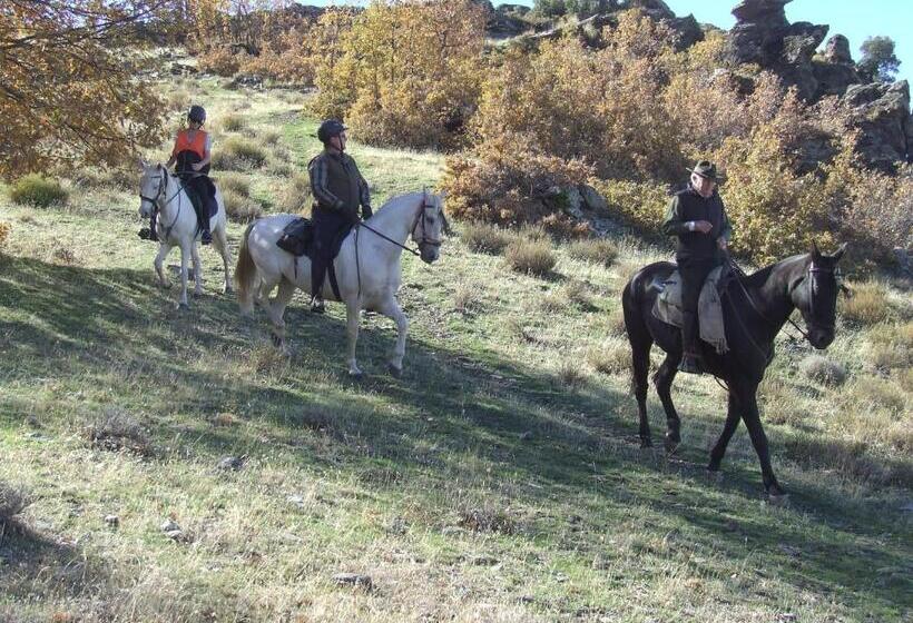 田舎風ホテル Juan Francisco