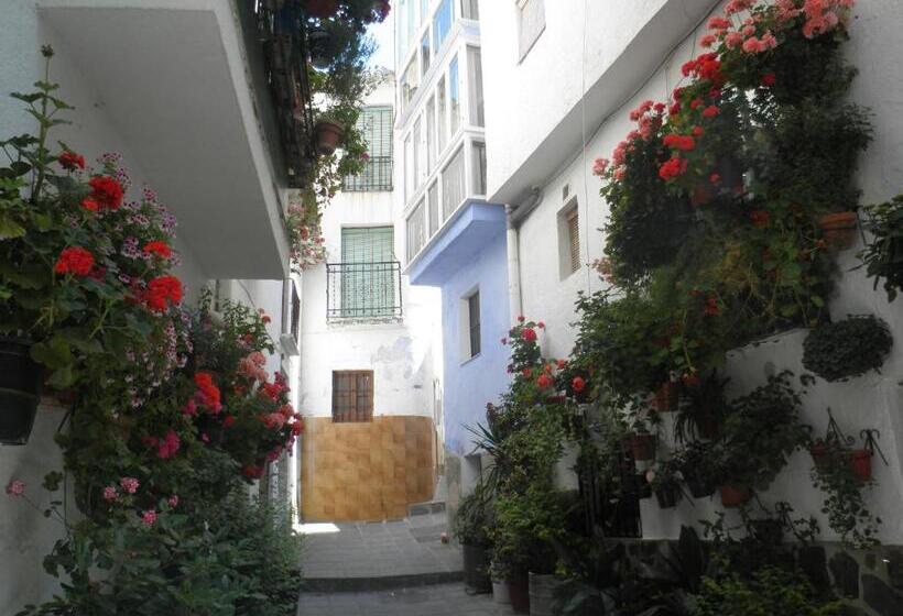 田舎風ホテル Juan Francisco