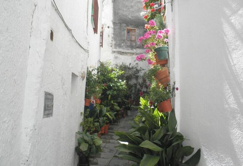 田舎風ホテル Juan Francisco