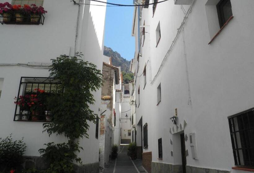 田舎風ホテル Juan Francisco