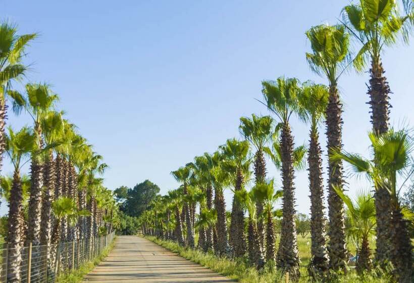 Сельский отель Sa Bassa Rotja Ecoturisme