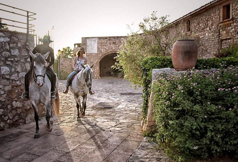 Сельский отель Sa Bassa Rotja Ecoturisme