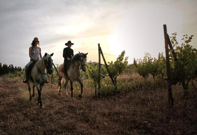 Сельский отель Sa Bassa Rotja Ecoturisme