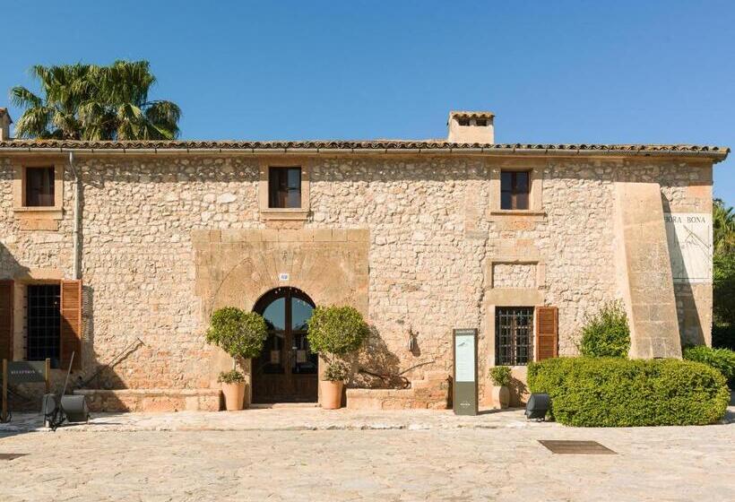 Сельский отель Sa Bassa Rotja Ecoturisme