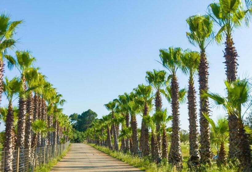 Сельский отель Sa Bassa Rotja Ecoturisme