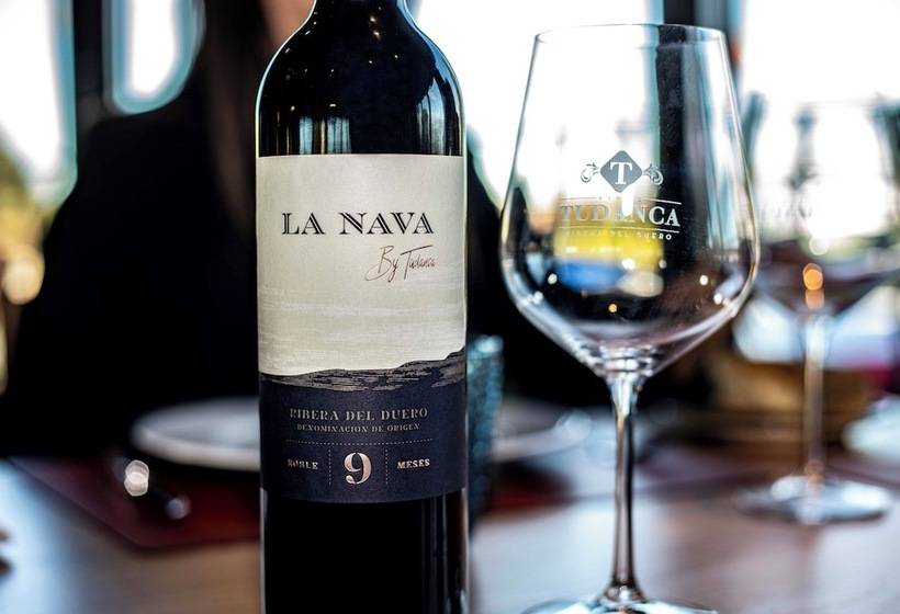 هتل Spa Tudanca Aranda